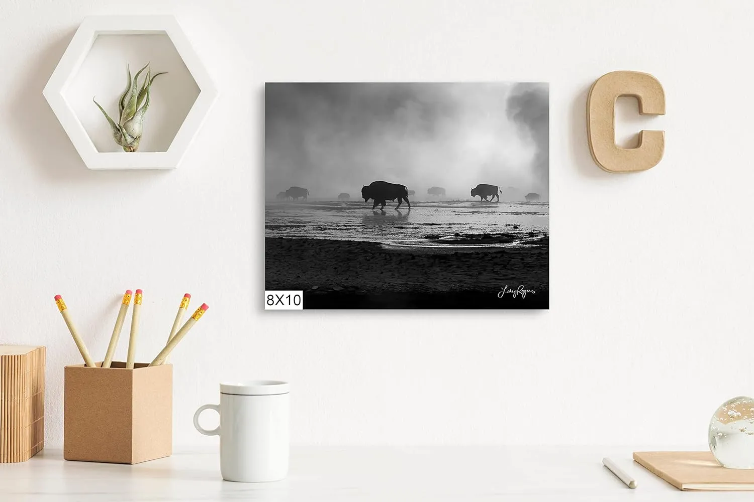 Bison Walking in Mist in Yellowstone, National Park of Alpine Meadows, Black and White Wall Artwork Available in (Glossy Photo Print, 8x10 Inches)