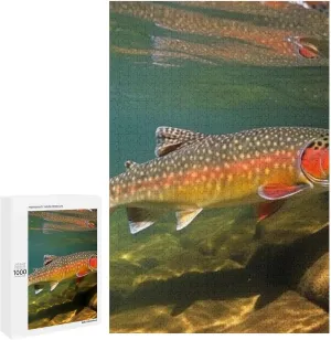 Brook Trout Fly Fishing Puzzle for Women Men Jigsaw Puzzles for Adults 1000 PCS Challenging Puzzle for Family Wedding Gift