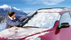 Intro-Tech Automotive PR-16-S Custom Fit Windshield Winter, Snow, Ice and Frost Shade for Select Porsche Cayman (987C) Models, Silver