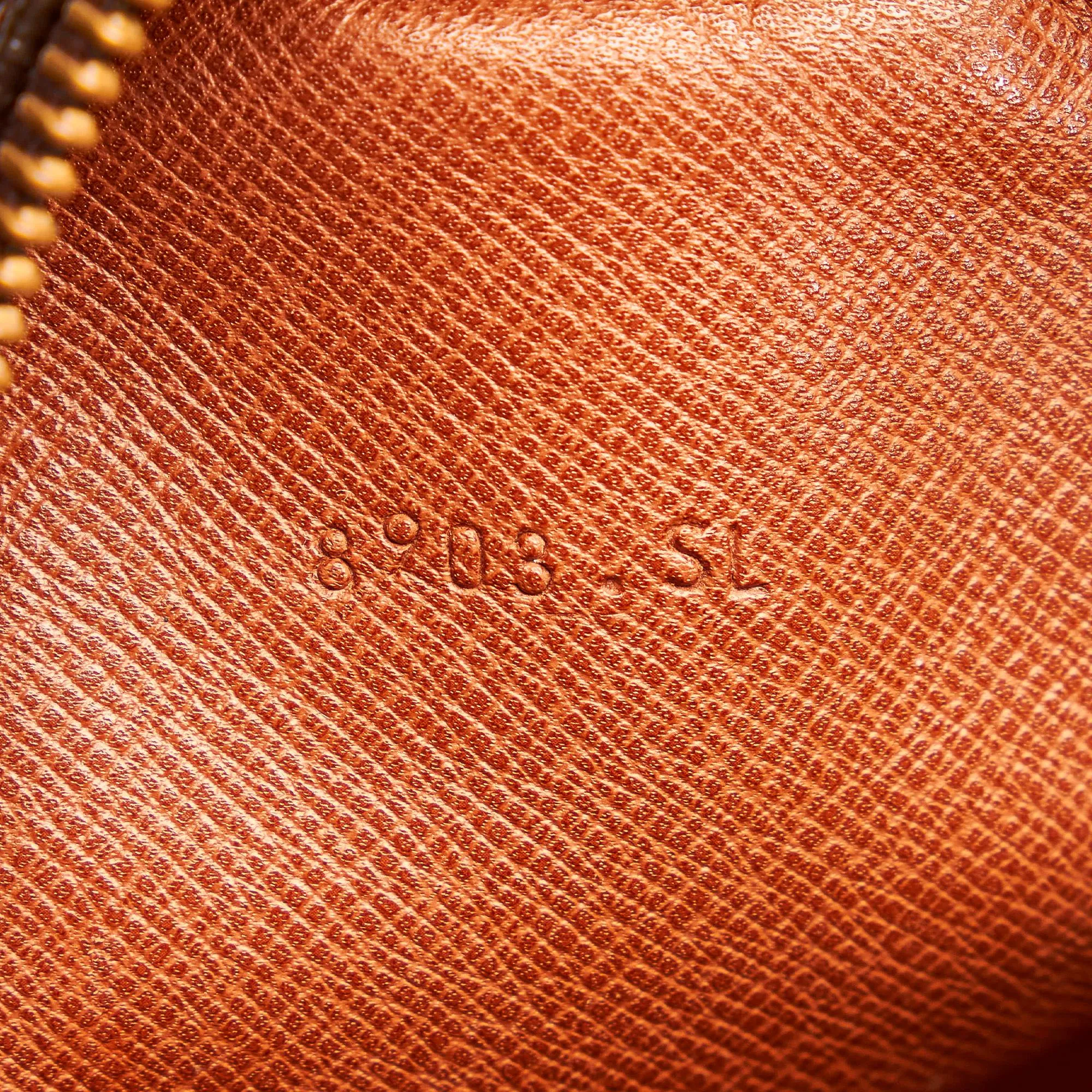 Louis Vuitton Monogram Danube (SHG-31074)