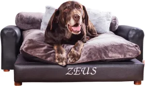 Moots Premium Leatherette Pets Sofa, Charcoal, Extra Large, Customizable
