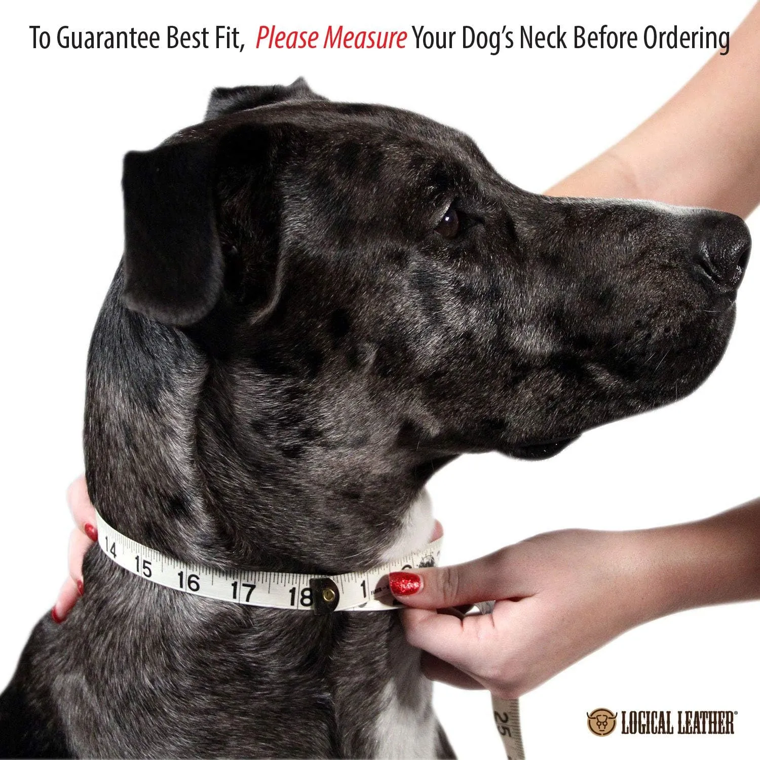 Padded Dog Collar - Best Full Grain Heavy Duty Genuine Leather Collar - Blue - Extra Large
