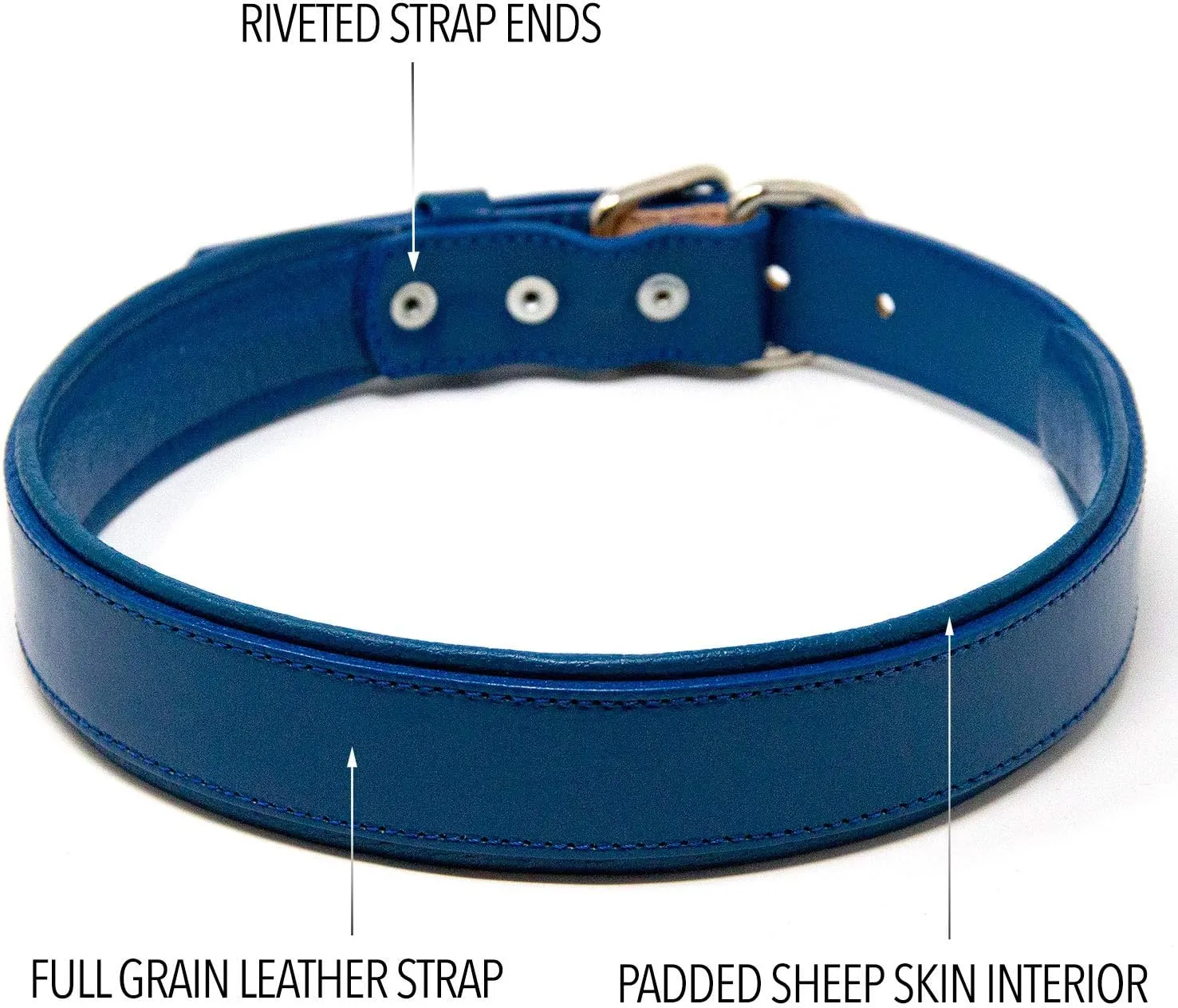 Padded Dog Collar - Best Full Grain Heavy Duty Genuine Leather Collar - Blue - Extra Large