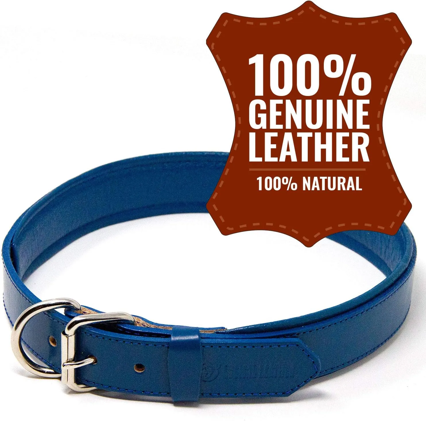 Padded Dog Collar - Best Full Grain Heavy Duty Genuine Leather Collar - Blue - Extra Large