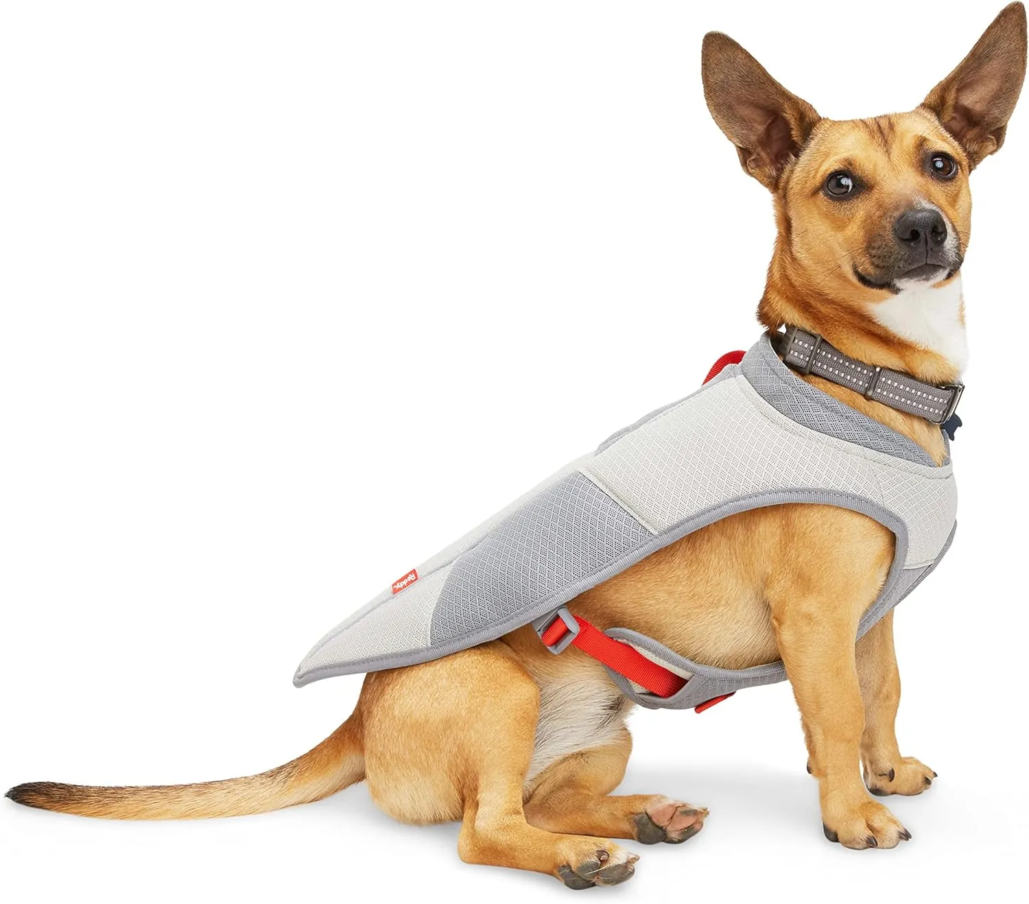 Reddy Petco Brand Grey/Red Cooling Dog Vest, X-Large, Gray/Red