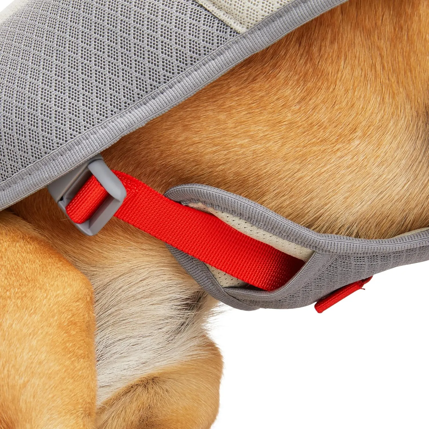 Reddy Petco Brand Grey/Red Cooling Dog Vest, X-Large, Gray/Red
