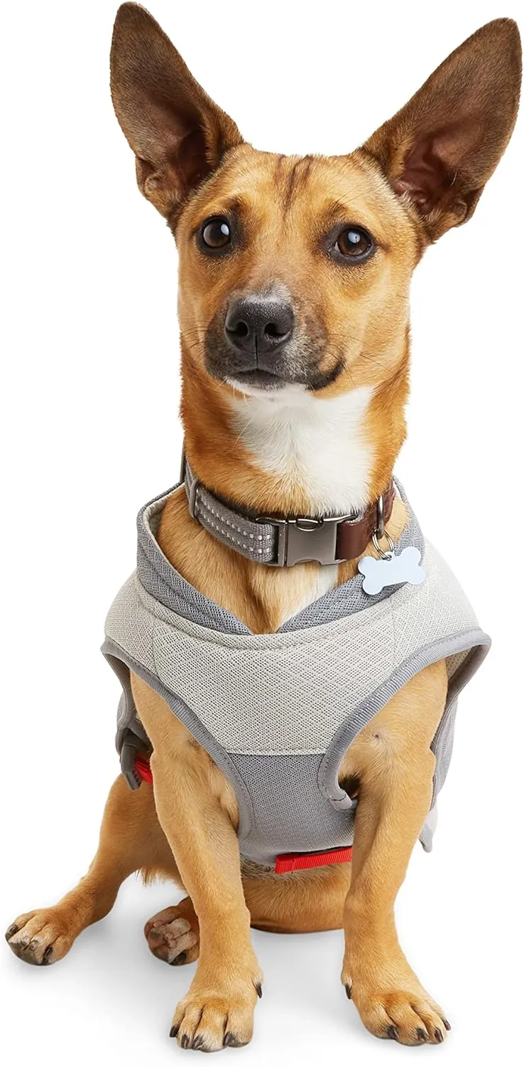 Reddy Petco Brand Grey/Red Cooling Dog Vest, X-Large, Gray/Red
