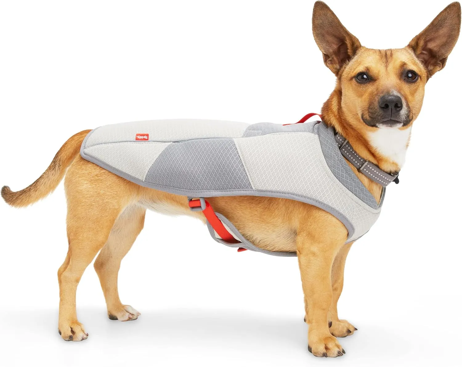 Reddy Petco Brand Grey/Red Cooling Dog Vest, X-Large, Gray/Red