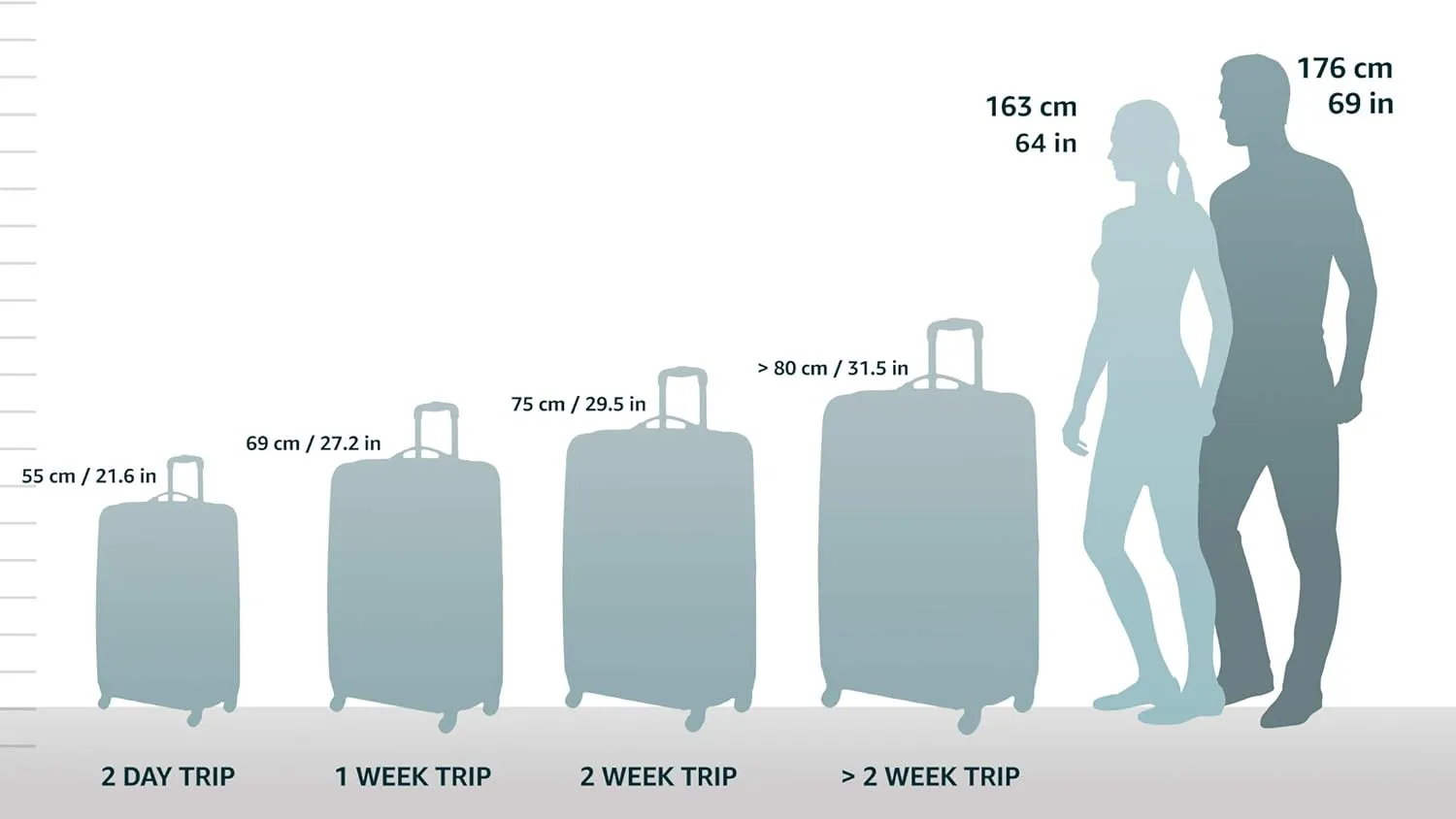 Rockland Safari Hardside Spinner Wheel Luggage, Pink Leopard, Carry-On 20-Inch