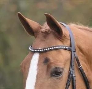 Shires Aviemore Large Diamante Browband