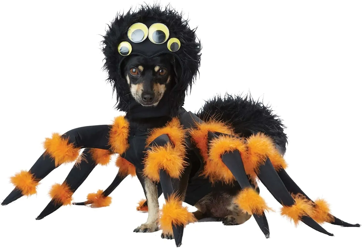 Spider Pup Costume