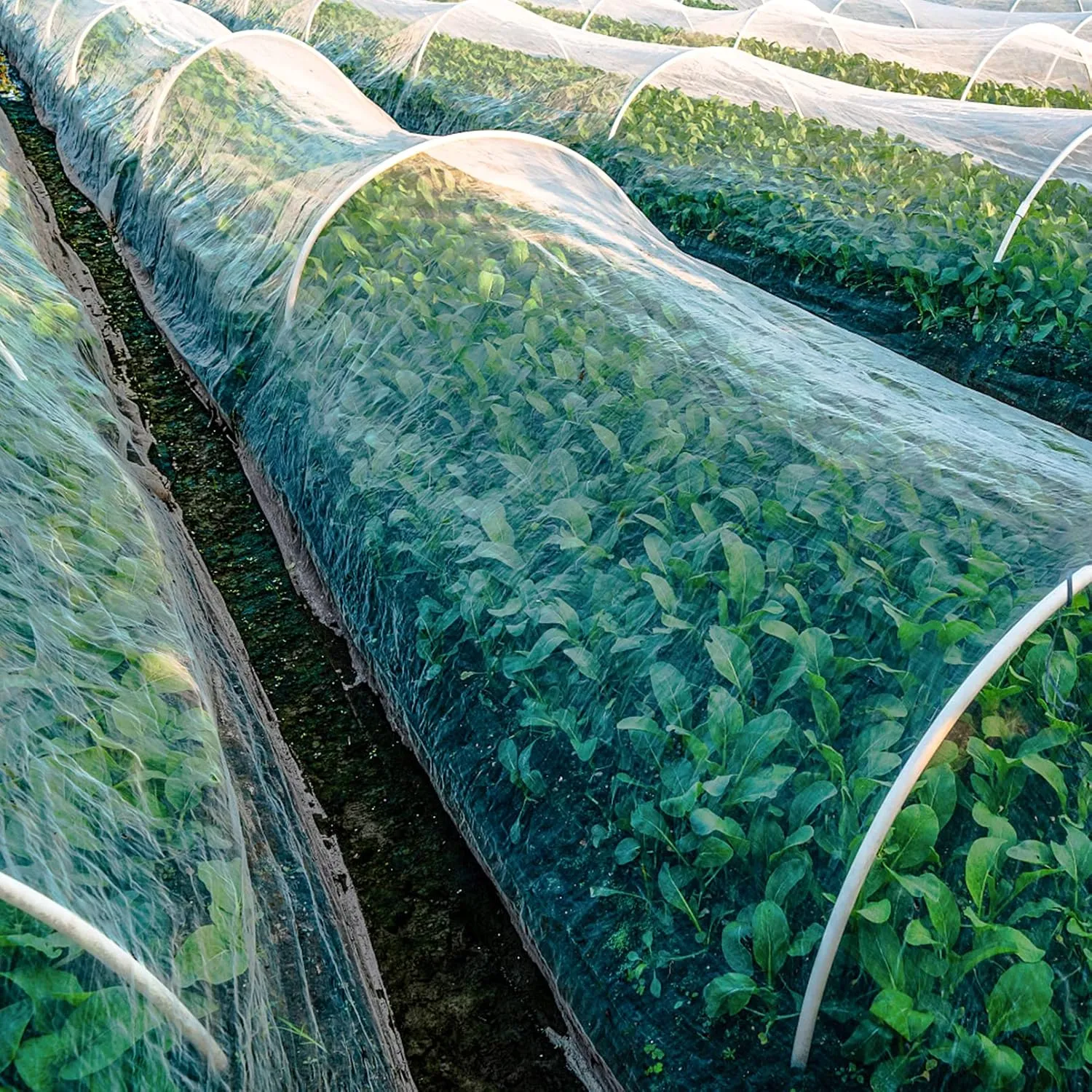Unves Garden Netting, 10 x 30 Ft Garden Mesh Mosquito Netting, Reusable Plant Cover Bug Insect Brid Net for Protecting Vegetables Fruits Trees Flowers Blueberries Tomatoes